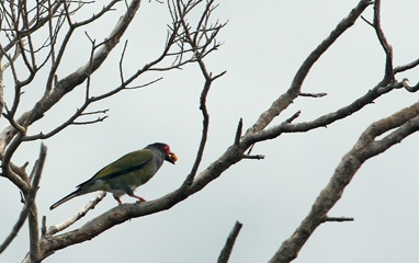 IMG_7186a.jpg